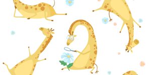 Giraffen verschiedene Posen