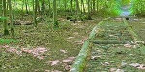 Wald